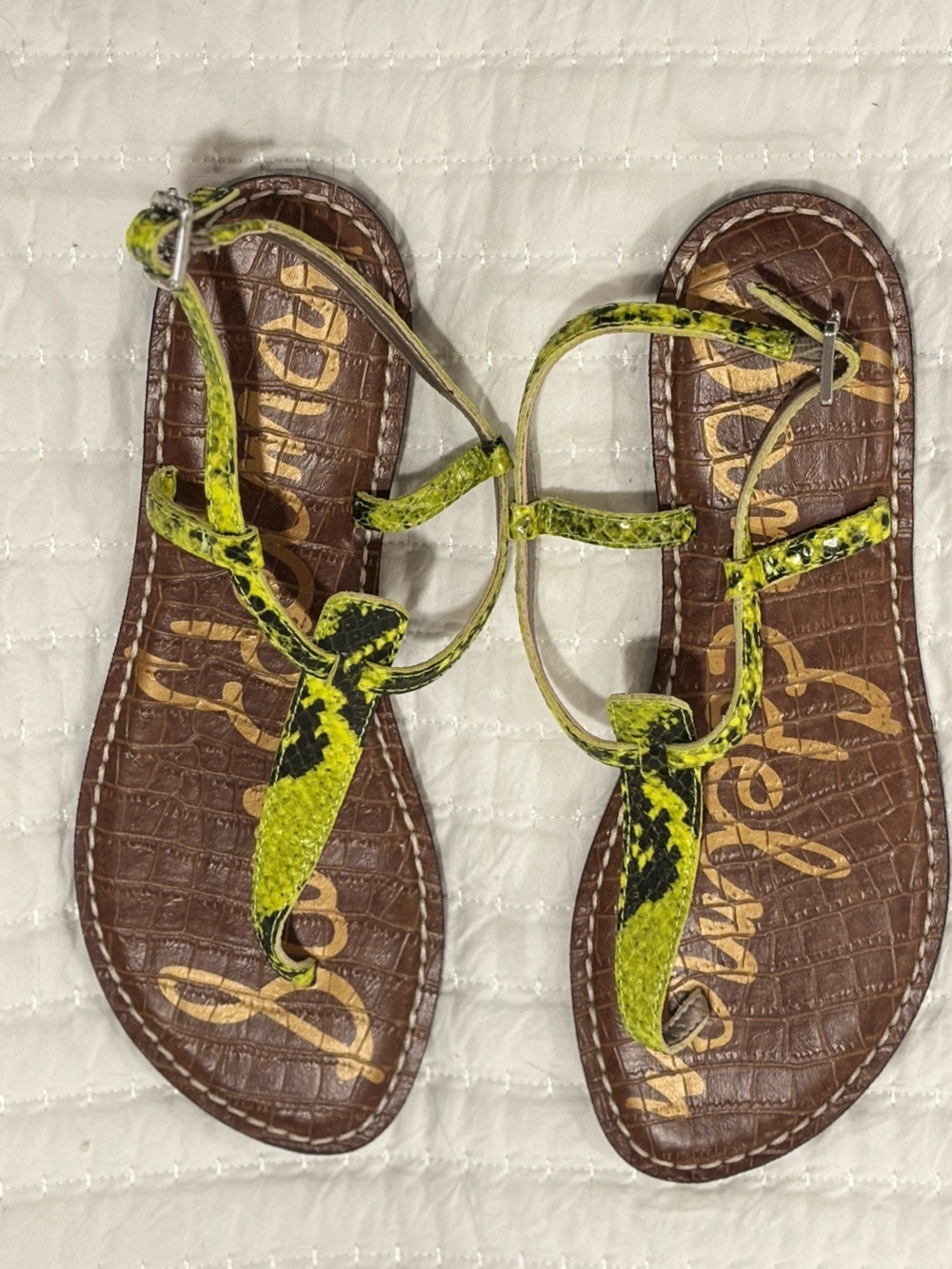 Sam Edelman Neon Green Snake-Print T-Strap Sandals 8M New